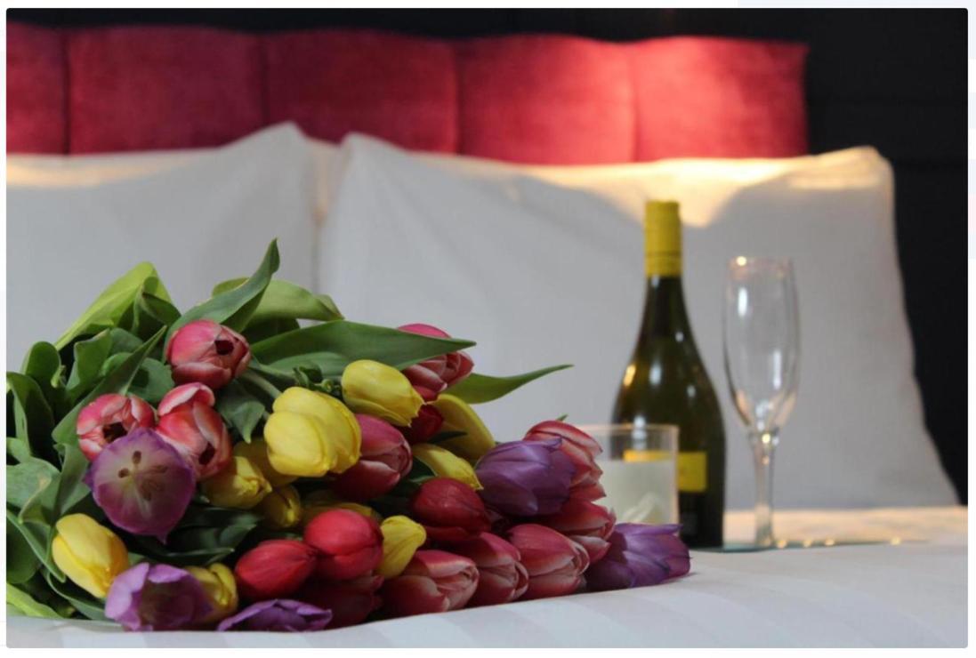 The Dutch Tulip Hotel Mallow Εξωτερικό φωτογραφία